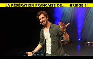  Arnaud Demanche : La fédération française de bridge